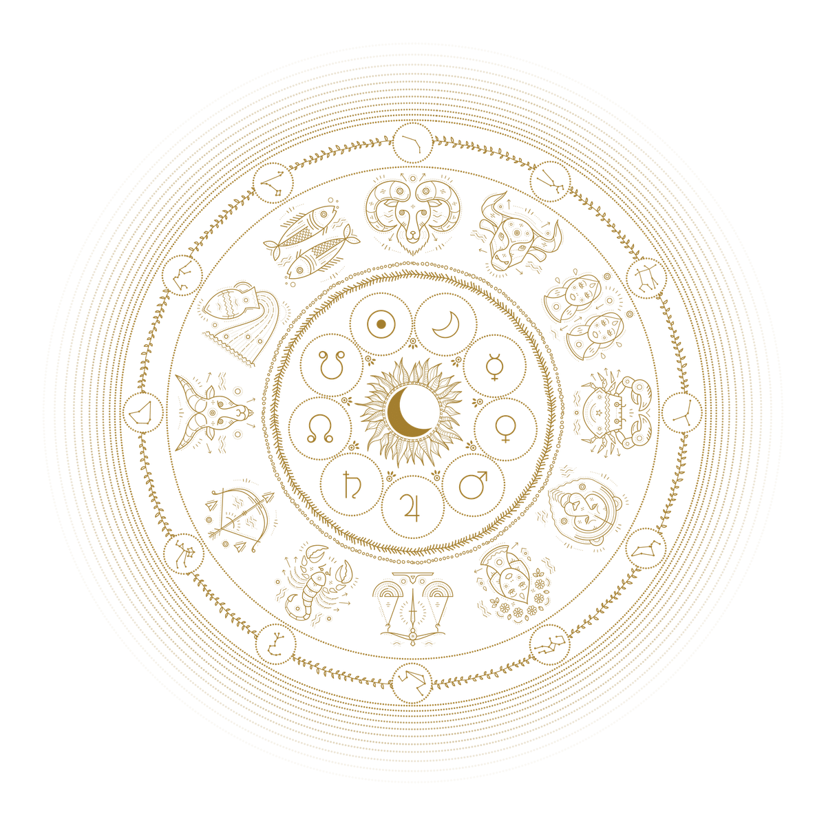 Vedic zodiac wheel